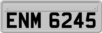ENM6245