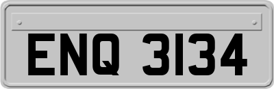ENQ3134