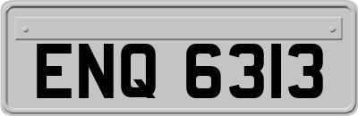 ENQ6313