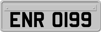 ENR0199