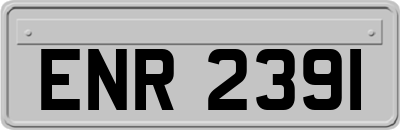ENR2391