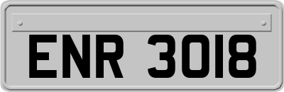ENR3018