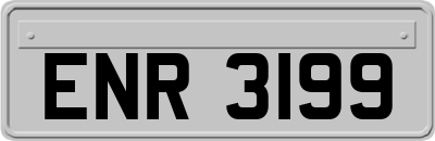 ENR3199