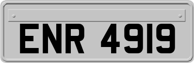 ENR4919