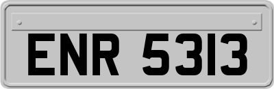 ENR5313