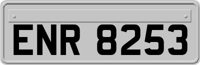 ENR8253