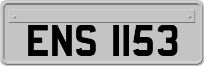 ENS1153