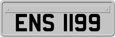 ENS1199