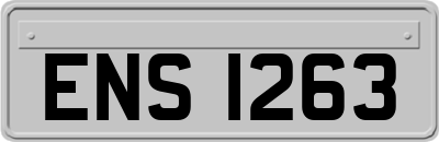 ENS1263