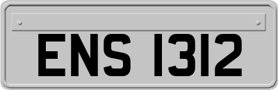 ENS1312