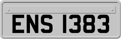 ENS1383