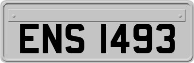ENS1493