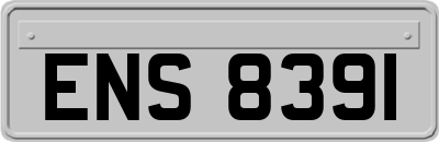 ENS8391