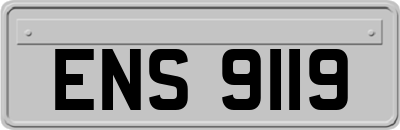 ENS9119