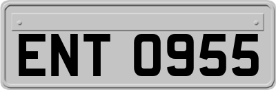 ENT0955