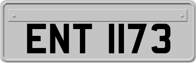 ENT1173