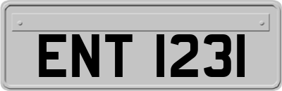 ENT1231