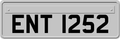 ENT1252