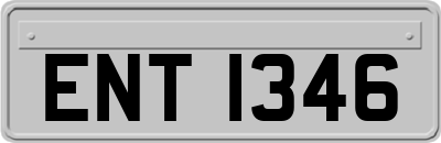 ENT1346