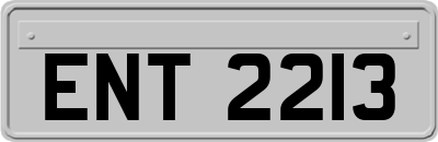 ENT2213
