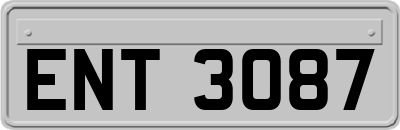ENT3087
