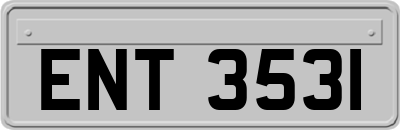 ENT3531