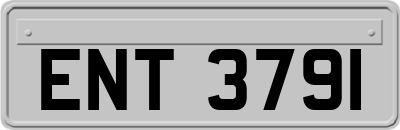 ENT3791