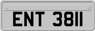 ENT3811