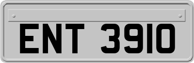 ENT3910