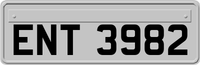 ENT3982