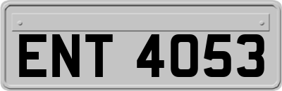 ENT4053