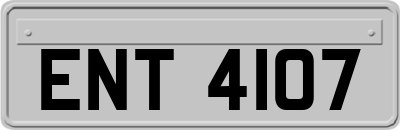 ENT4107