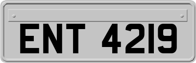 ENT4219