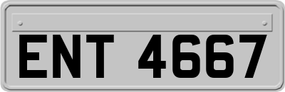 ENT4667