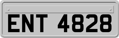ENT4828