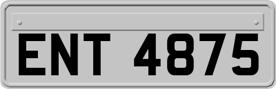 ENT4875