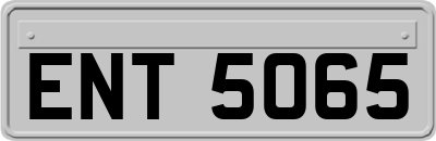 ENT5065