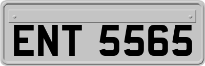 ENT5565