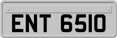 ENT6510