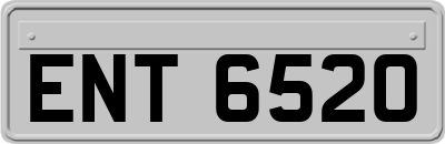 ENT6520