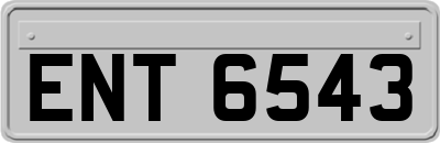 ENT6543