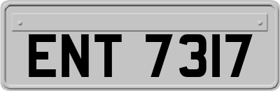 ENT7317