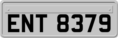 ENT8379