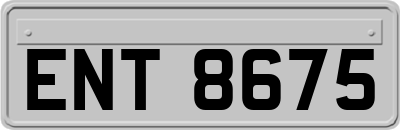 ENT8675