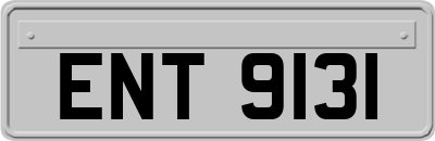 ENT9131