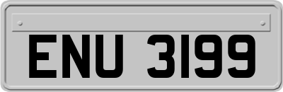 ENU3199