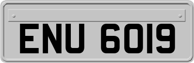 ENU6019