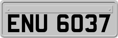 ENU6037