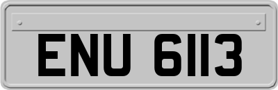 ENU6113