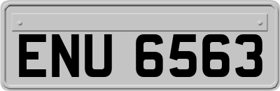 ENU6563